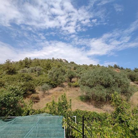Elpida Apartment Limenas (Thasos) Exterior foto