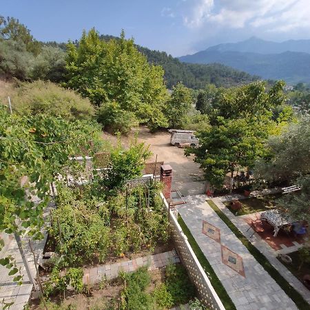 Elpida Apartment Limenas (Thasos) Exterior foto